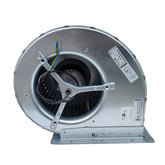 D4E250-CA01-01